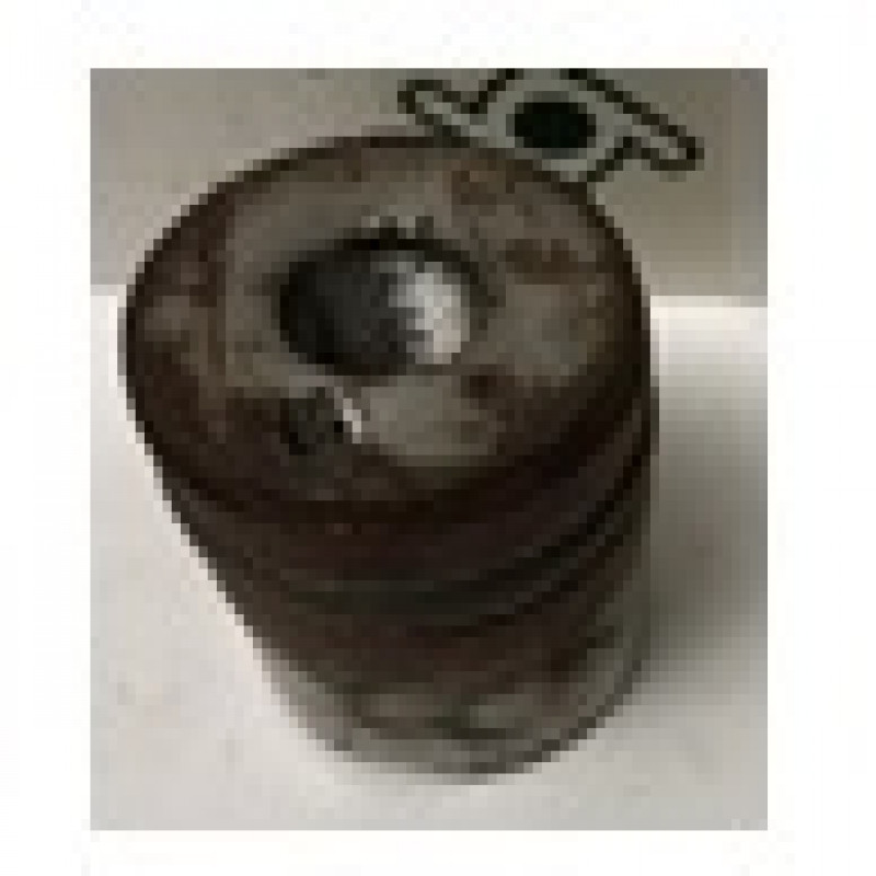 Piston và bộ phớt thủy lực Ø60 - Phụ kiện dùng cho cầu nâng 2 trụ ERCO H4002 E