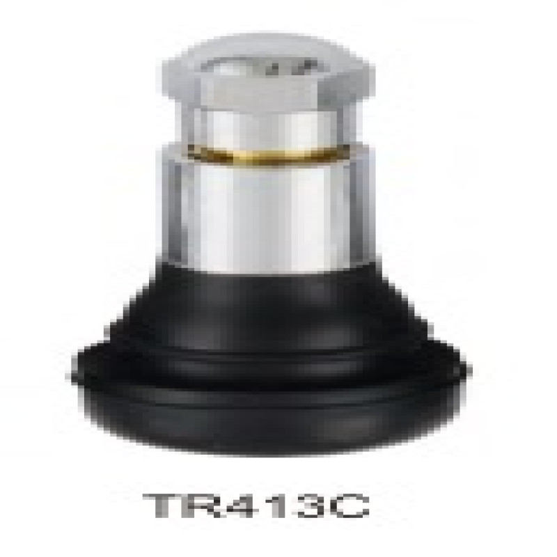 Van lốp xe không săm cho xe du lịch và xe tải nhẹ (thẳng - đầu chụp inox)